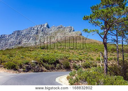 Road at the foot of Table Mountain in Cape Town