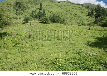 Four girl mountain build gully scenery in Sichuan, China