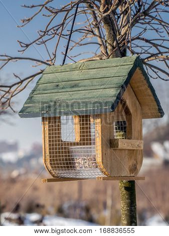 Wooden bird feeder with seed mix affixed to the tree