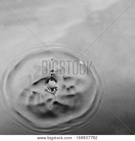 Pattern flower on water from falling drop.