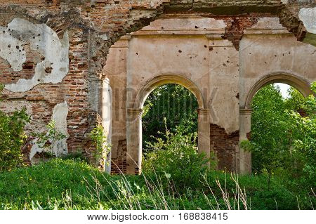 Remains of the walls of the ancient church in the forest undergrowth.