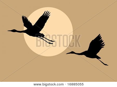 Silhouetten, die Krane auf Hintergrund Sonne fliegen