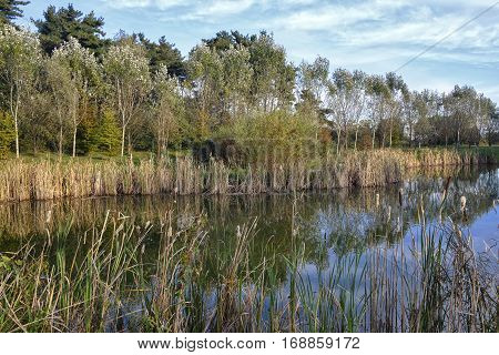 Grugnotorto park (Brianza Lombardy Italy): the little lake at fall