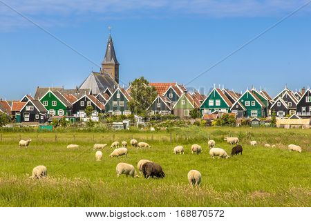 Colorful Wooden Houses And Church In Dutch Village