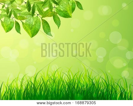 Spring background. Young leaves and grass in solnechnogm light. Natural background with bokeh. Summer. A park. Regeneration. Close-up. Nature awoke.