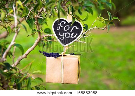 Gift box with lavender twig hanging on a tree branch, for you lettering on clip label, Valentine, wedding, love, romantic concept, blurred grass in the background