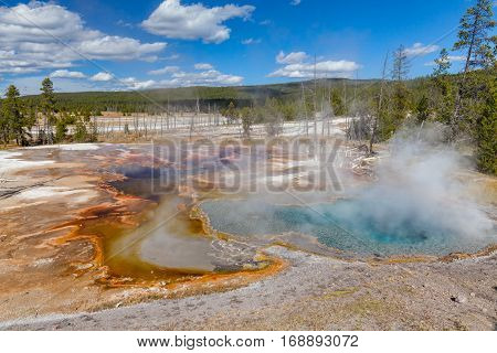 the scenic geothermal hot springs in Yellowstone National Park Wyoming