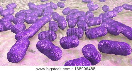 Bacterium Acinetobacter baumannii, multidrug resistant nosocomial bacterium. 3D illustration shows morphology of Acinetobacter such as short rods and sometimes long filamentous cells