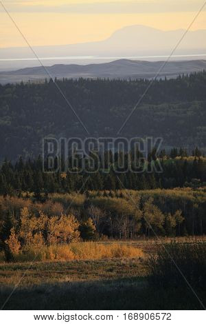 Autumn Colors Cypress Hills Canada