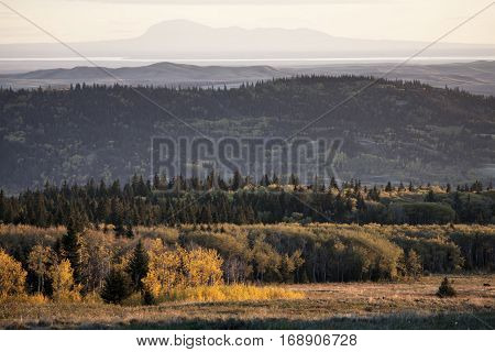 Autumn Colors Cypress Hills Canada