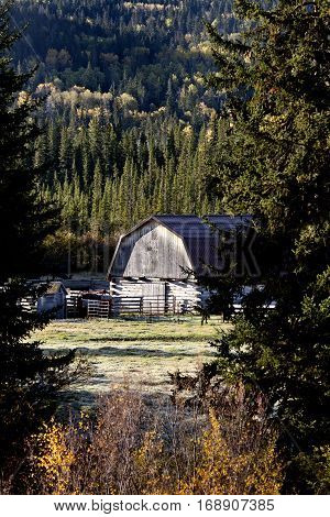 Autumn Colors Cypress Hills Canada interprovincial Park