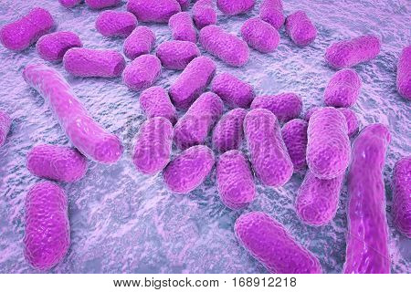 Bacterium Acinetobacter baumannii, multidrug resistant nosocomial bacterium. 3D illustration shows morphology of Acinetobacter such as short rods and sometimes long filamentous cells