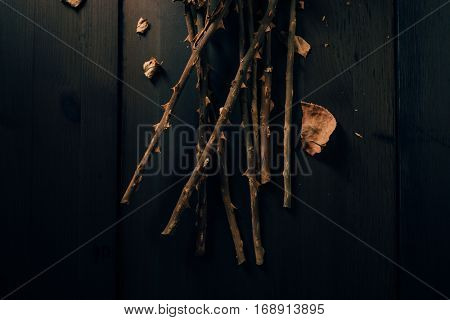 Bunch of dried rose flower stems or branches on dark background. Close up from above.