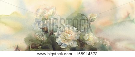Bouquet of white peonies watercolor illiustration. Wedding card. Summer bloom.