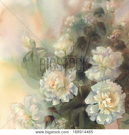 Bouquet of white peonies watercolor illiustration. Wedding card. Summer bloom.