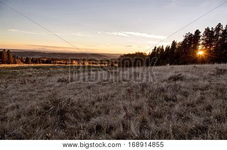 Autumn Colors Cypress Hills Canada