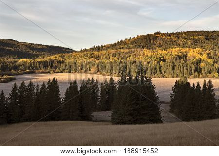 Autumn Colors Cypress Hills Canada