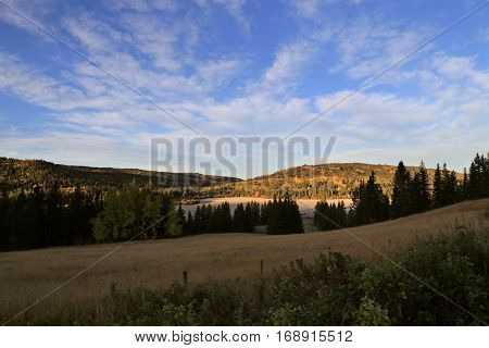 Autumn Colors Cypress Hills Canada