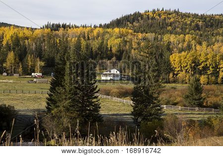 Autumn Colors Cypress Hills Canada