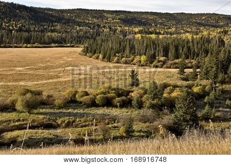 Autumn Colors Cypress Hills Canada