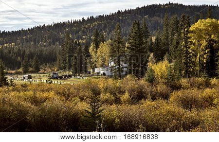 Autumn Colors Cypress Hills Canada