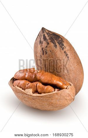 Two pecan nuts isolated on white background.
