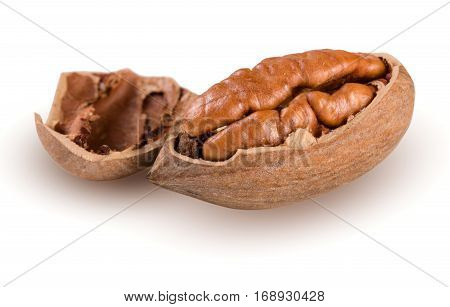 one pecan nuts isolated on white background.