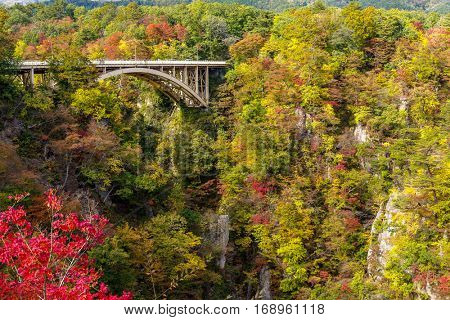 Bridge passing though Naruko Gorge in autumn