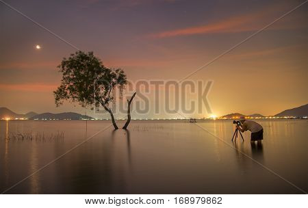 Photographer take a photo alone alive tree is in the flood of lake at sunset scenery