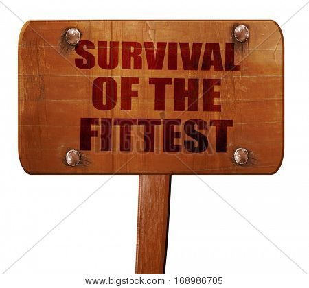 survival of the fittest, 3D rendering, text on wooden sign