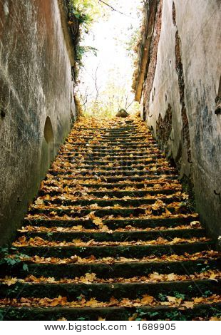 Przemysl Polónia