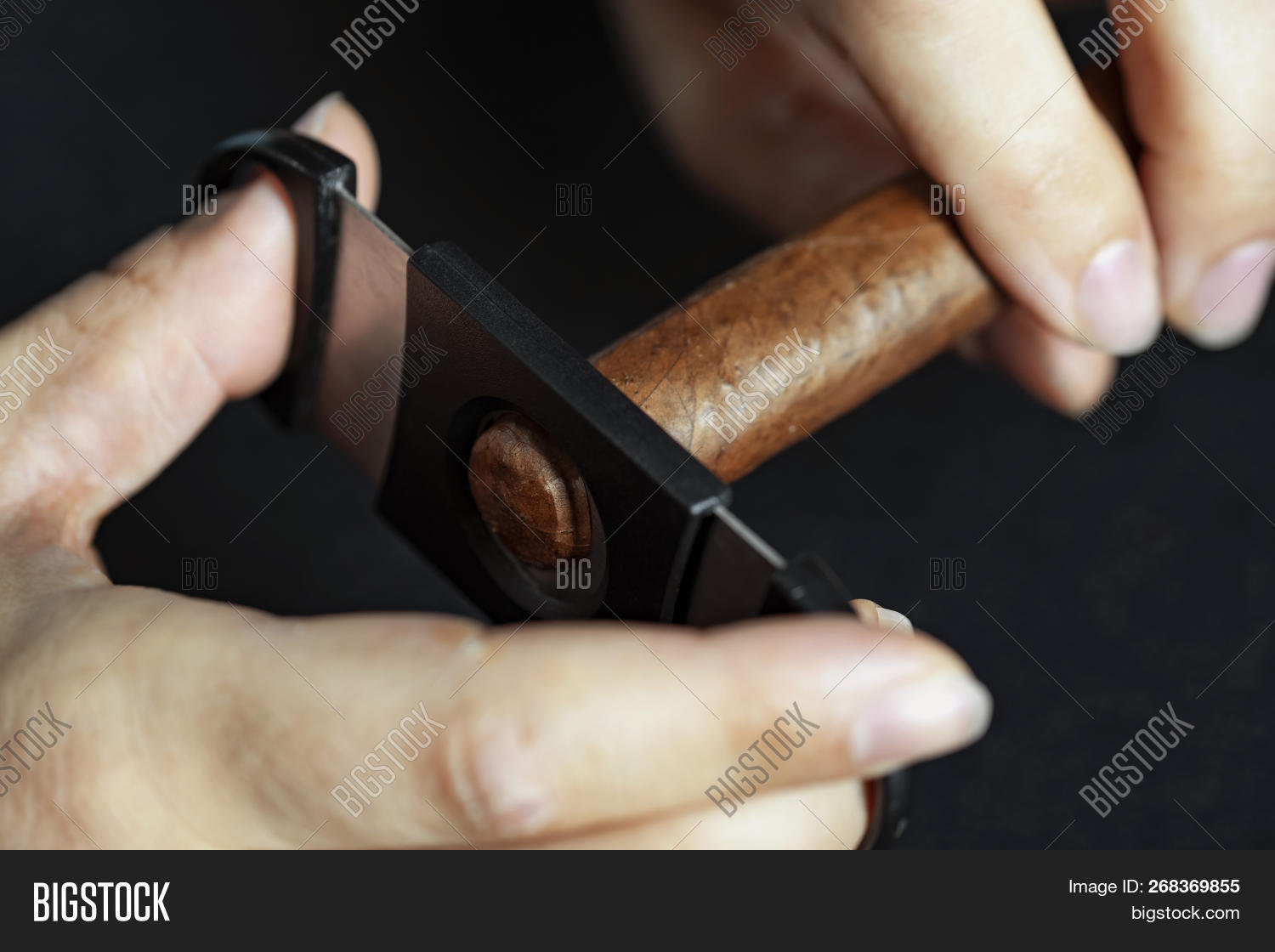 Man Cuts Off Tip Cigar Image & Photo (Free Trial) Bigstock