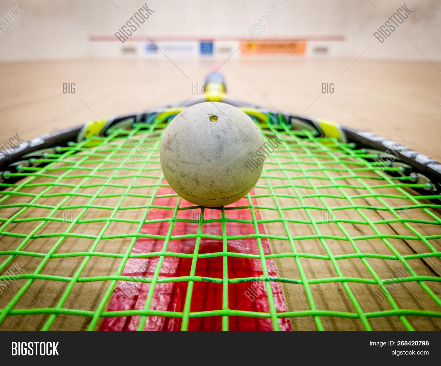 White Squash Ball On Image & Photo (Free Trial) Bigstock