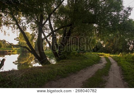 Path Through Green Forest And Little River Near. Places For Walk On The Fresh Air In Summer