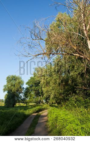 Path Through Green Forest And Little River Near. Places For Walk On The Fresh Air In Summer