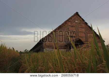 This Photo Is Seen In Front Of One Of The Traditional Tobacco Drying Places In Kebonarum Klaten, Alt