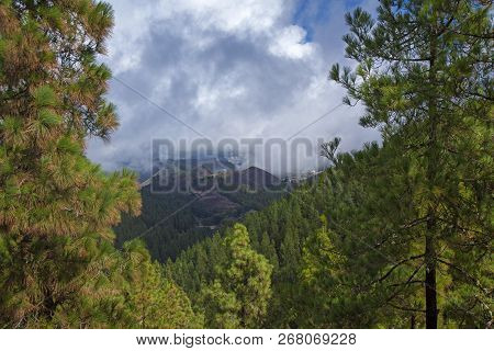 Gran Canaria, October, Las Cumbres - The Highest Areas Of The Island, View Towards Cloud Layer Over 