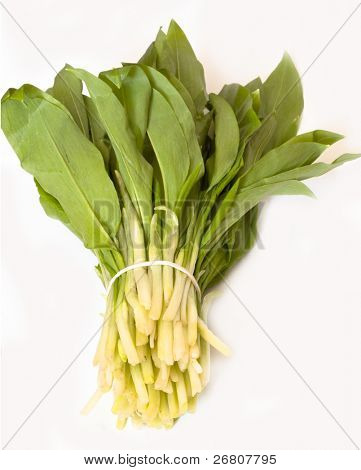 Bärlauch