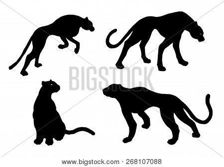 Drawn Jaguar, Leopard, Wild Cat, Panther Silhouettes