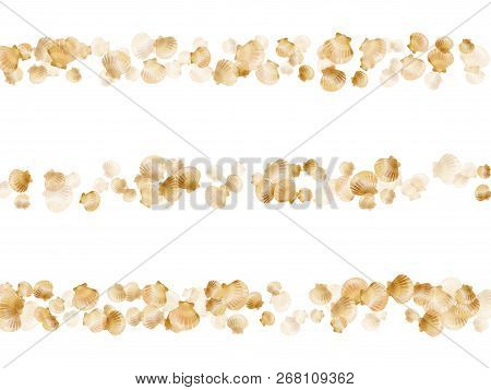 Gold Seashells Vector, Golden Pearl Bivalved Mollusks. Cartoon Scallop, Bivalve Pearl Shell, Marine 