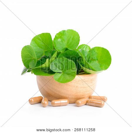 Centella  Asiatica In Wood Bowl ,white Background.