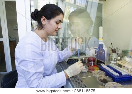 Young Scientist Works In Modern Biological Lab
