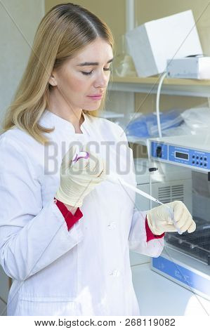 Young Scientist Works In Modern Biological Lab
