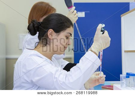 Young Scientist Works In Modern Biological Lab