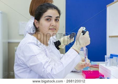 Young Scientist Works In Modern Biological Lab