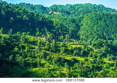 Landscape Of Himalayas - Jauljibi - India Nepal Border, Uttarakhand