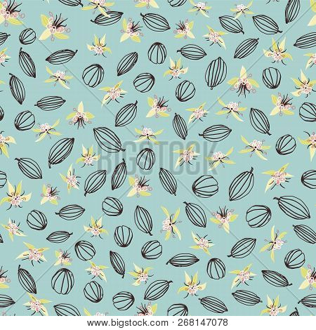Cacao Plant Flowers And Pods Seamless Vector Pattern Background. Great For Fabric, Packaging, Paper,