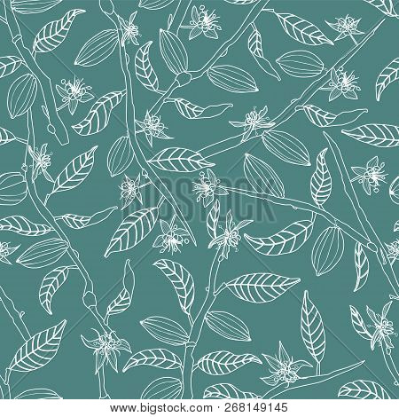Line Art Cocoa Tree Branches Bearing Flowers And Fruit Pods Seamless Vector Pattern Background. Grea
