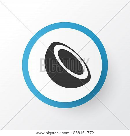 Palm Fruit Icon Symbol. Premium Quality Isolated Cocoanut Element In Trendy Style.
