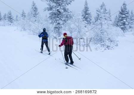 Saariselka, Finaland - December 31, 2017: Sport Activities In Lapland During Polar Night